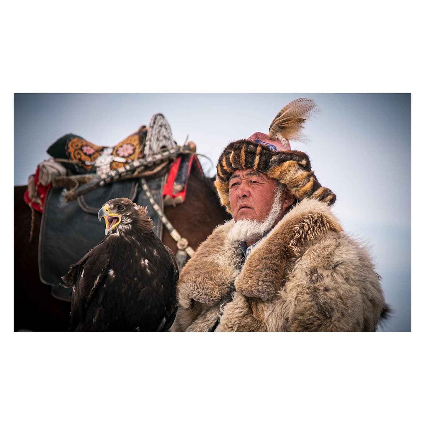 Kazakh Eagle Hunters of Western Mongolia: Who They Are and How to Visit