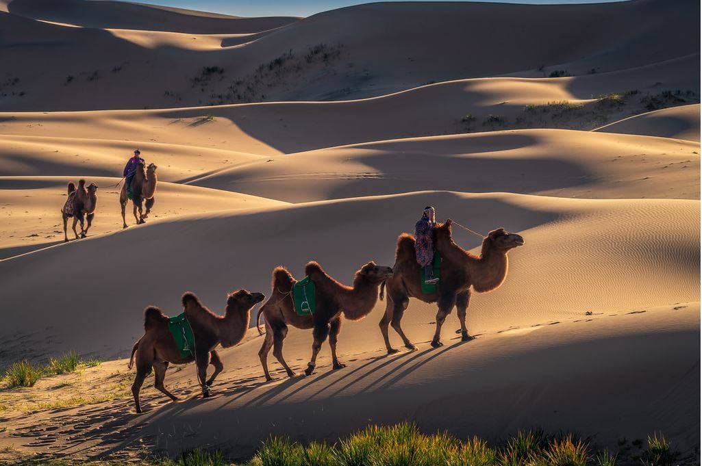 Mongolian Gobi Desert Tour 5 days